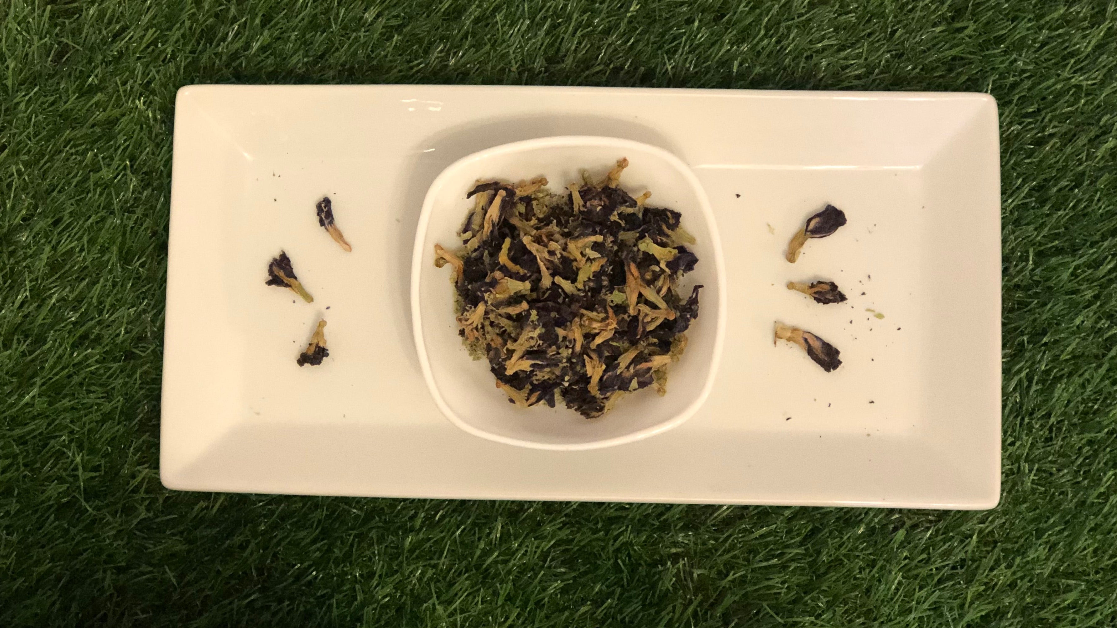 Butterfly Pea