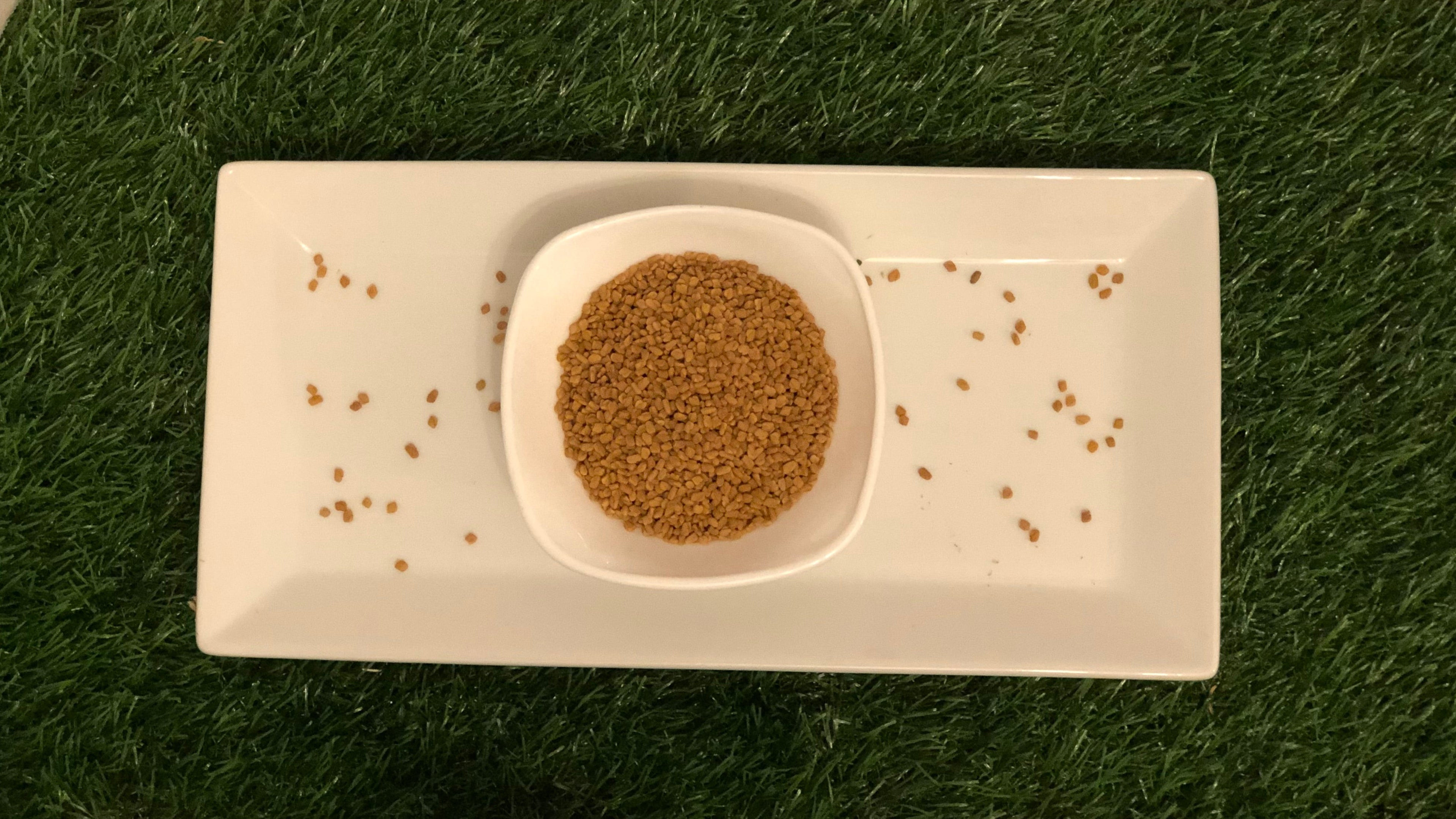 Fenugreek