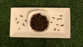 Whole Clove Organic
