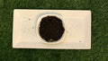Black Walnut Hull Organic